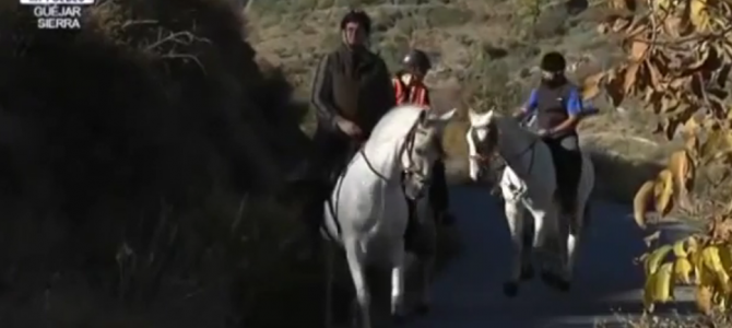 Sierra Nevada Horse Riding. Video Content.