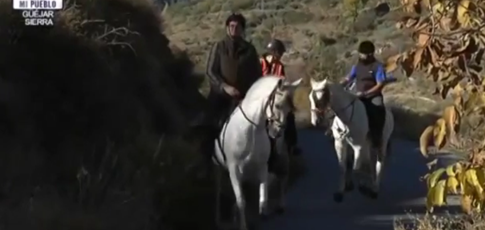 Sierra Nevada Horse Riding. Video Content.