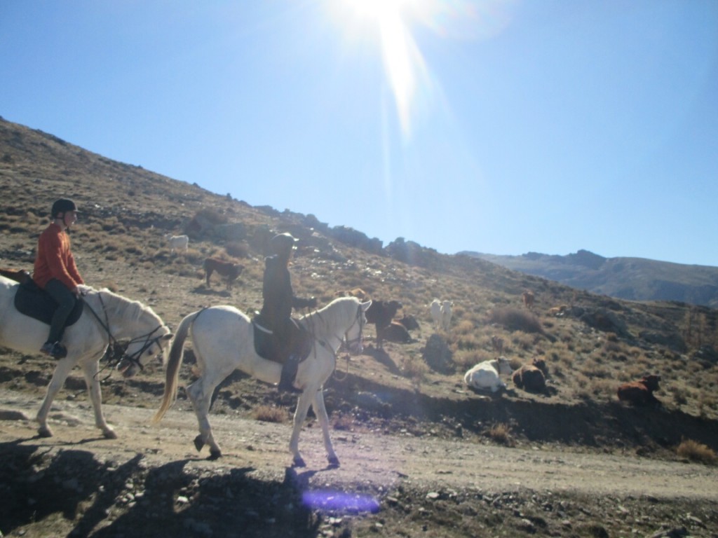 Sierra Nevada Horse Riding