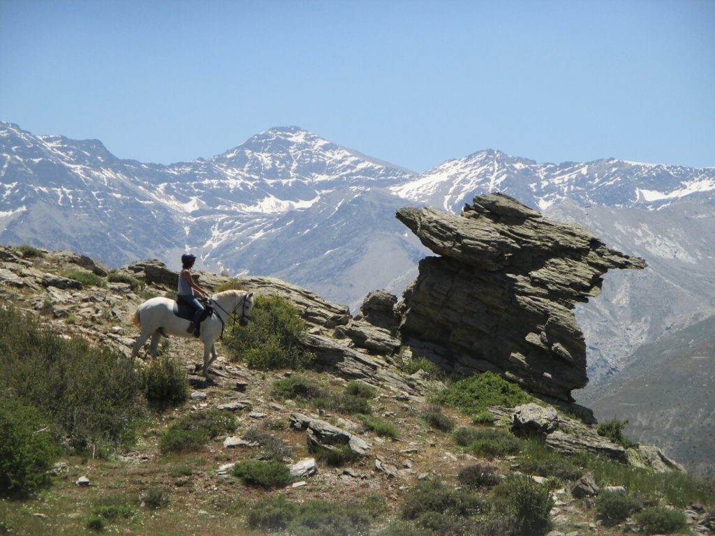 Horse Riding Sierra Nevada