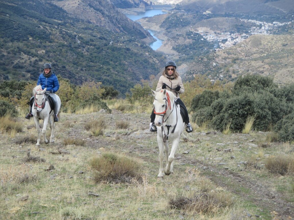 Horse Riding Sierra Nevada