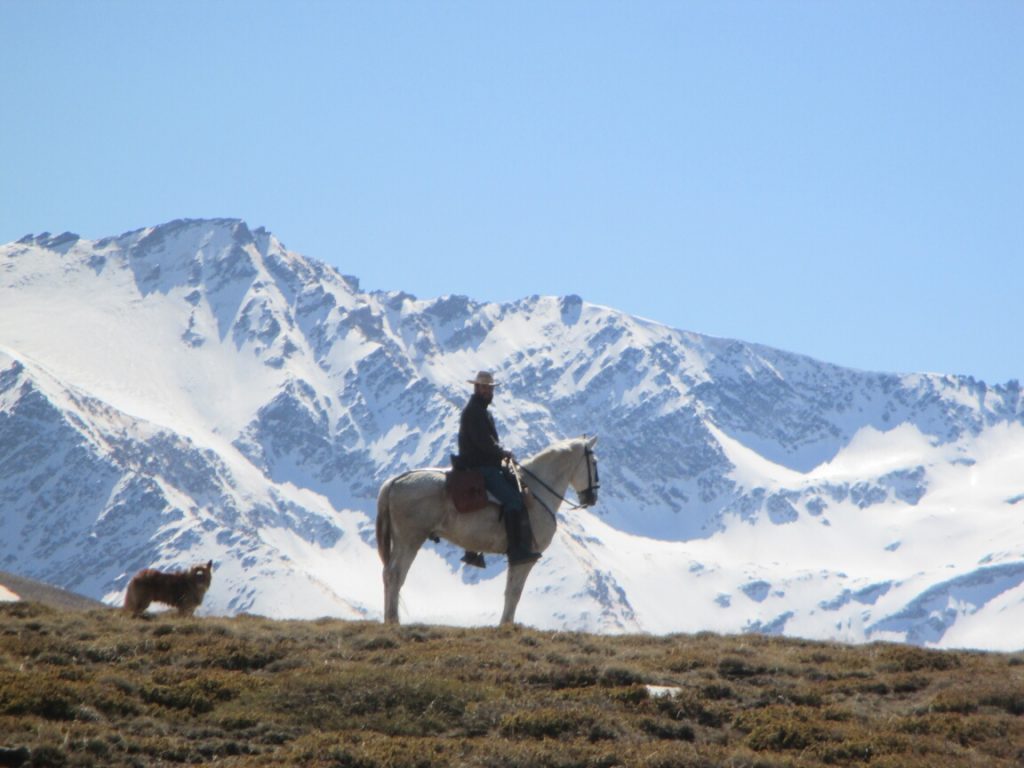 Horse Riding Sierra Nevada