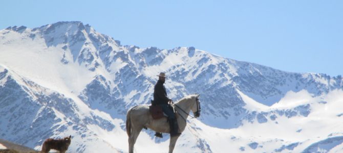 Horse Riding Sierra Nevada: Safety vs Money