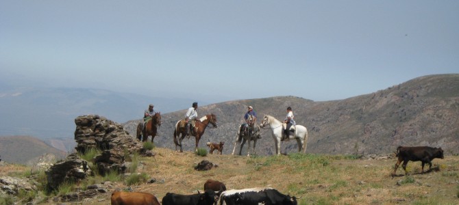 Horse Trek in Sierra Nevada: Guejar Sierra – Jerez del Marquesado – Berchules – Trevelez – Refugio del Poqueira – Guejar Sierra