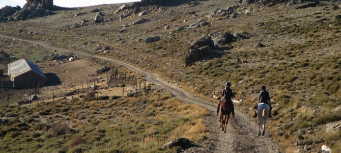 Riding Sierra Nevada: full horse trek day