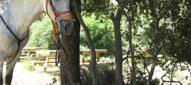 Romantic Horse Trek: Guejar Sierra