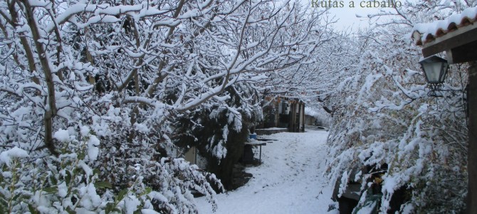 19/1/2015 Sierra Nevada