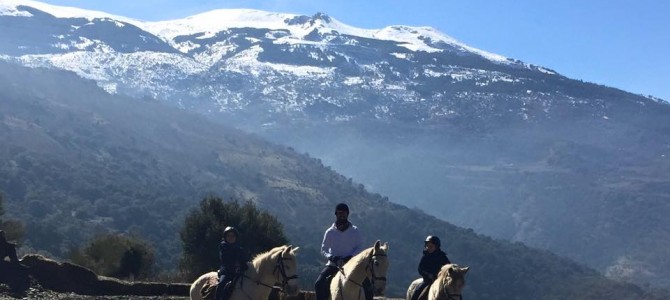 The whole family. Horse riding in Sierra Nevada