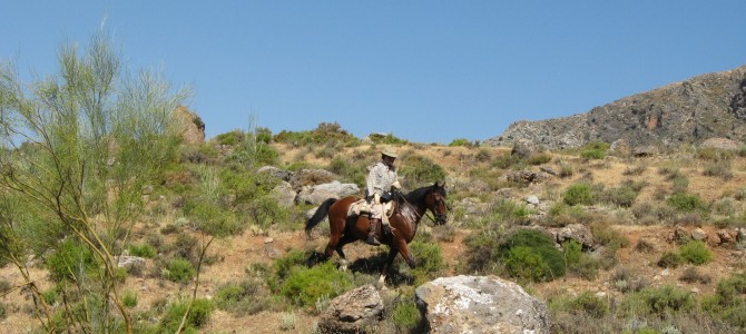 Horse Riding in Sierra Nevada