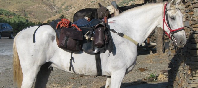 Weight limits: Sierra Nevada Horse Riding