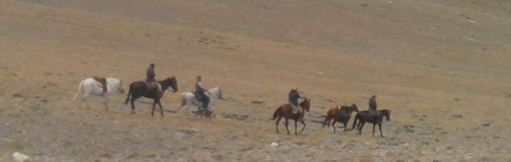 stonedesert