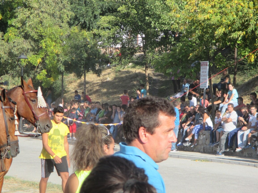 IMG_1158web