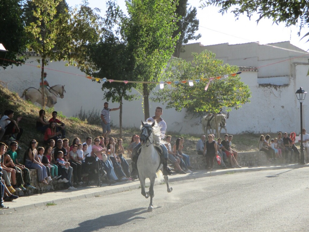 IMG_1164web