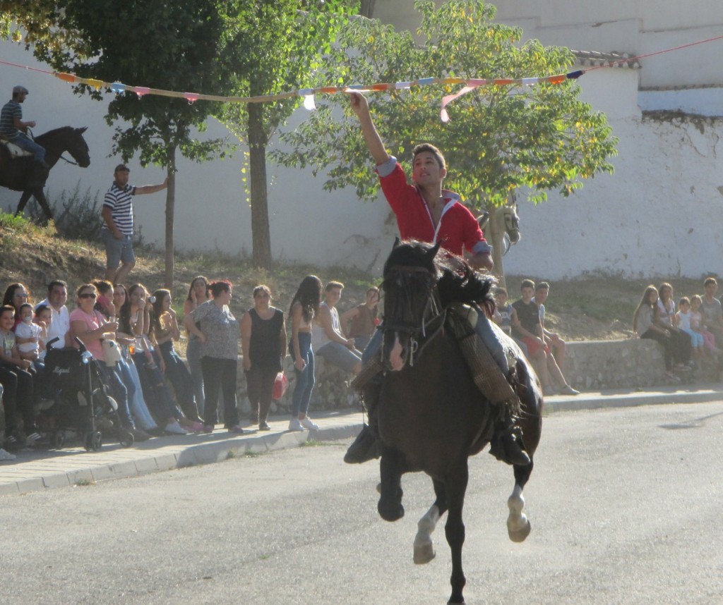 Horse Band Race Carrera de Cintas a caballo