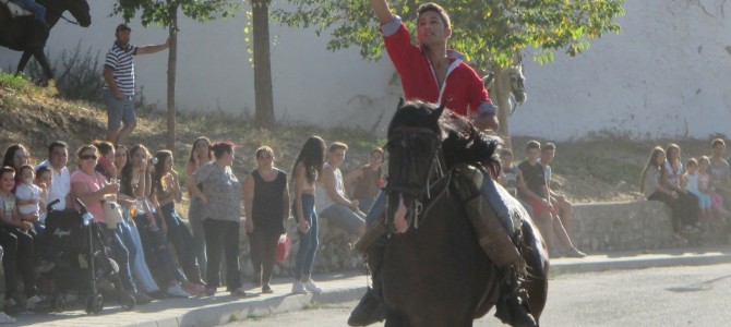 HorseBack Bands Race