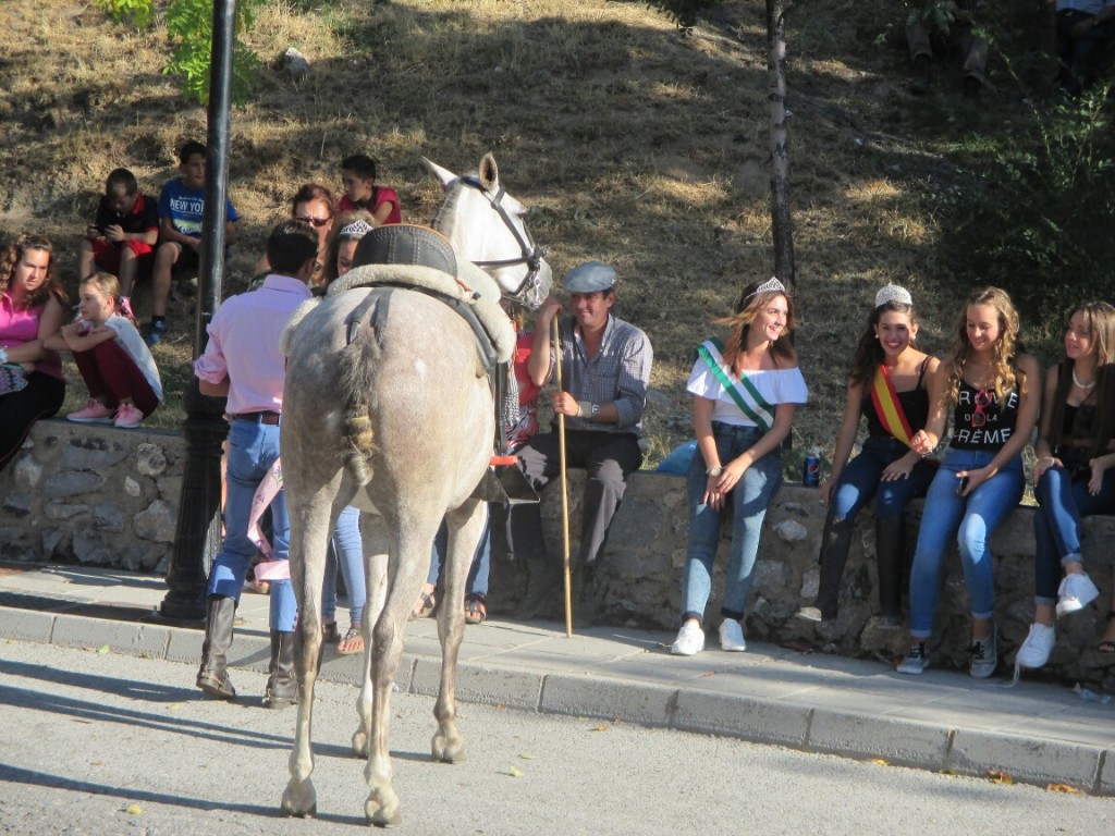 IMG_1169web