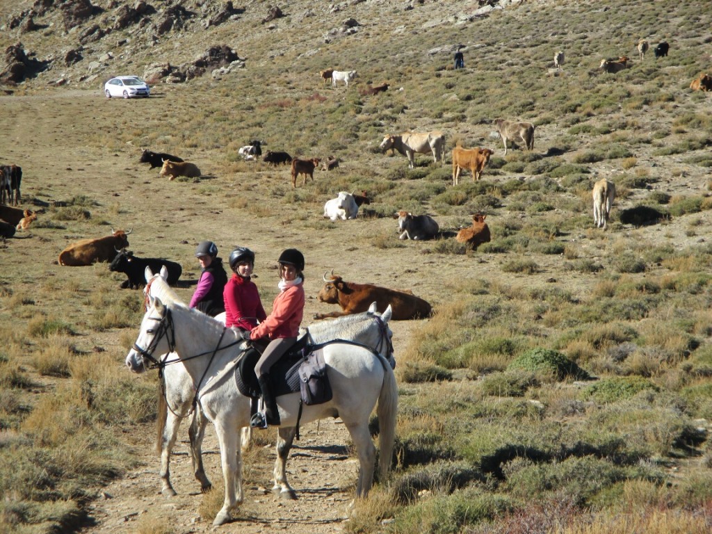 Sierra Nevada Horse Riding