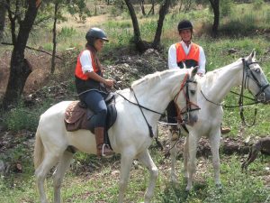 horse trek granada